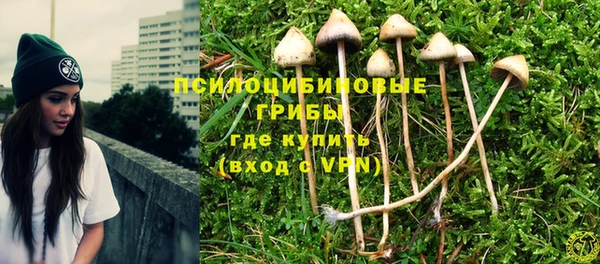 герыч Алзамай