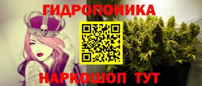 скорость Лесосибирск
