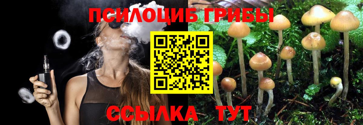Галлюциногенные грибы Psilocybine cubensis Боровичи