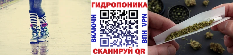 сайты даркнета официальный сайт Боровичи Бошки марихуана тримм